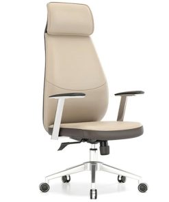 Ghế lãnh đạo lưng cao D6812A