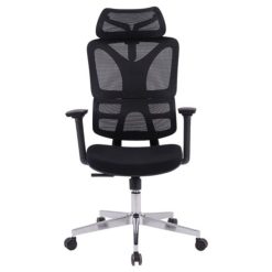 Ghế công thái học GLE19