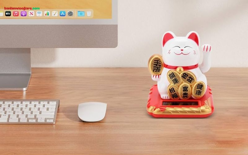 Cách vệ sinh mèo thần tài đúng cách, và luôn được mới